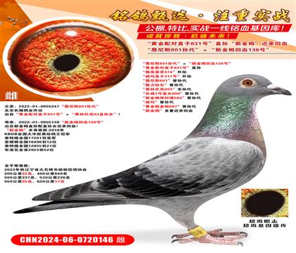 ղ˹801O½ķѪ138̖(ho) S䌦(du)ֱ