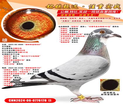 ܊܊̖(ho)ֱO츣̖(ho)ֱŮ(j)107ֱOŮ