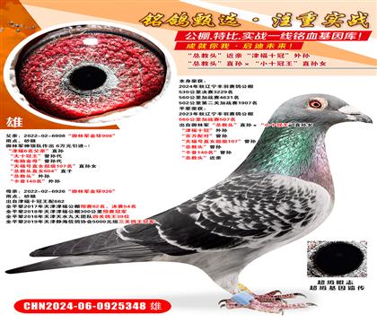 ܊^ֱOСʮֱOŮ ʮڡ