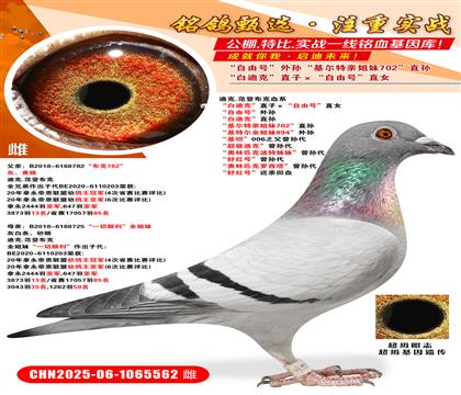 ׵Ͽˡֱӡ̖(ho)ֱŮ ̖(ho)O ׵Ͽˡֱ