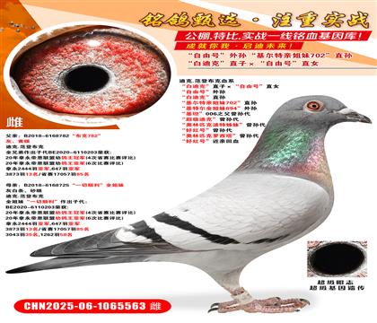 ׵Ͽˡֱӡ̖(ho)ֱŮ ̖(ho)O ׵Ͽˡֱ