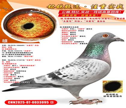 ľ̖(ho)Oľ̖(ho)ֱOŮ WƥZסOŮ