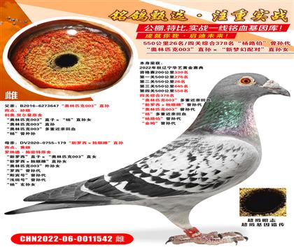 55026.P(gun)C378_(d)۴ơO