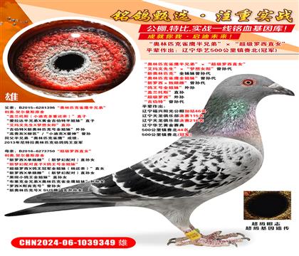 Wƥȸֵܡ(j)_ֱŮƽ݅܊