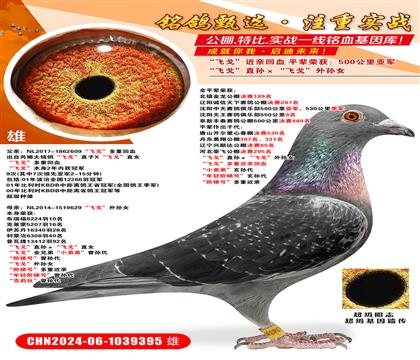 wꡱֱOwꡱOŮ wꡱؽHѪ Сܵ