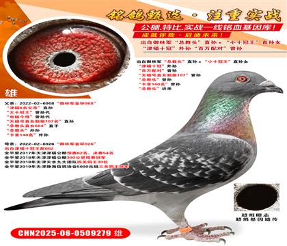 ܊^ֱOСʮֱOŮ ʮڡ