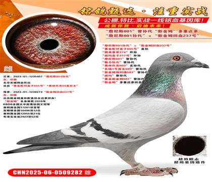 ղ˹801O½ķѪ237̖(ho) S䌦(du)ֱ