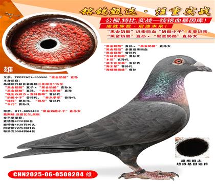 ڽҡֱOڽҡֱOŮ ڽҡؽH