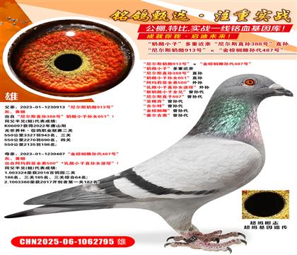 ᠖˹913̖(ho)ؙƌO487̖(ho) С