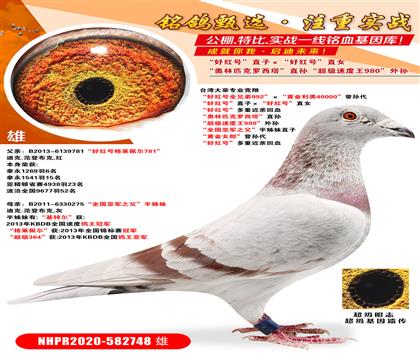 _(ti)I(y)(jng) üt̖(ho)ֱӡüt̖(ho)ֱŮ üt̖(ho)ȫ