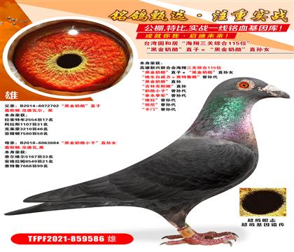 _(ti)A;ӺP(gun)C115λ ڽҡֱӡڽ