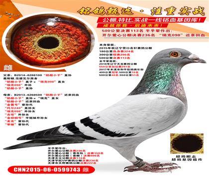 Ӫ����������113��������С�ӡ�ֱ���������С�ӡ�����