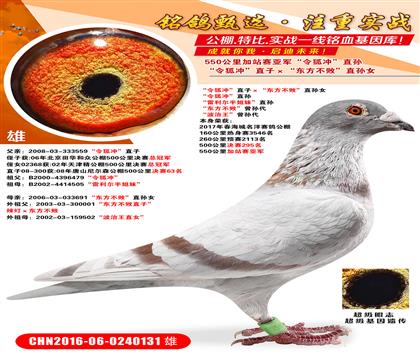 ��վ���Ǿ�������塱ֱ�ӡ����������ܡ�ֱ��Ů ������塱ֱ��