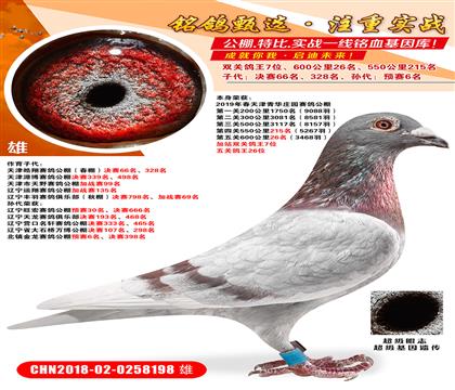 ��վ˫�ظ���7λ��600����26���Ӵ�����贺�����66��