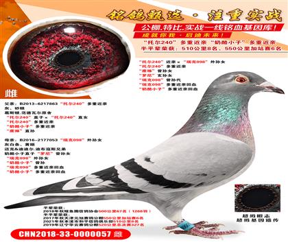 ���ж�240�����ס������098������Ů ���ж�240������