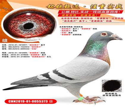 ����Ҽ�Ÿ���-�ű����� ���ɼ�˼����ֱ�ӡ������ٰ�������Ѫ