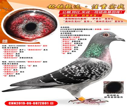 ������ƥ��03��ֱ���������ƥ��03��ֱ��Ů ������ƥ��00