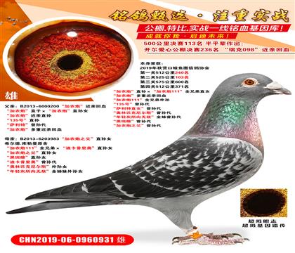 525����103������ũ�ڡ�ֱ�������ũ��111��ȫ�ֵ�ֱŮ