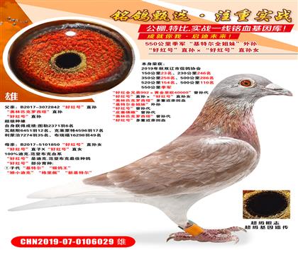 550���＾�����ú�š�ֱ������ú�š�ֱ��Ů������ƥ������