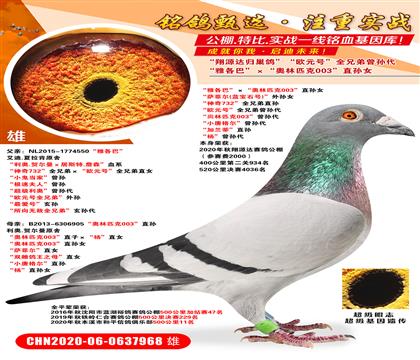 ��Դ��400����934����ŷԪ�š�ȫ�ֵ�����������ƶ�(����