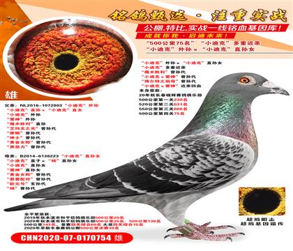 500����75����С�Ͽˡ��������С�Ͽˡ�ֱ��Ů ��С�Ͽˡ�