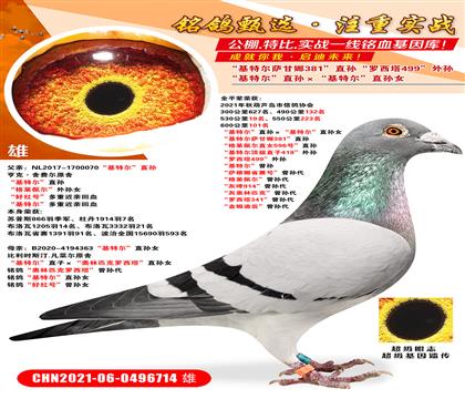 �����ض���ֱ��������ض���ֱ��Ů �����ض�������381��ֱ��