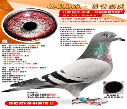 �ھ����塰�������ҡ�������С�ӡ����� �Ӵ����������⹫���վ