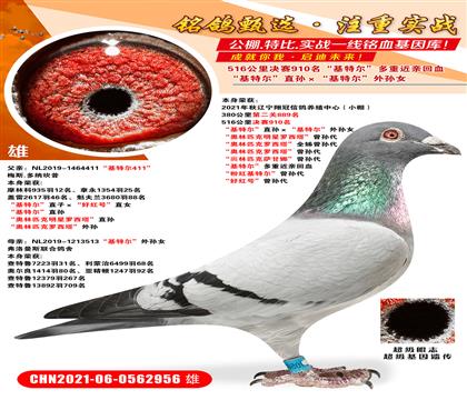 �̽���ھ���910�������ض���ֱ��������ض�������Ů ������