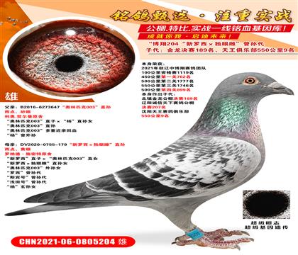 ������204���Ӵ���550����9�����W��ƥ��003�����ؽ���