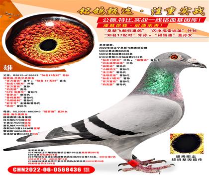 ���·���610����鳲��֪��17��ԡ�����������׵ϡ�ֱ��Ů