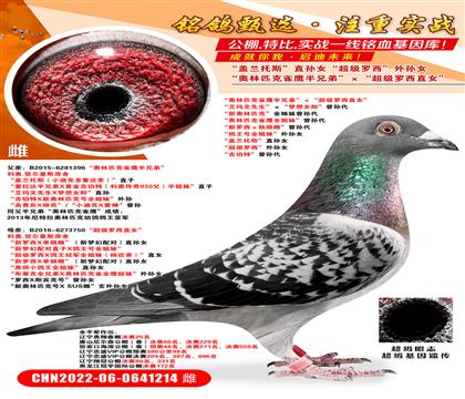 ȫƽ���������ھ�����ھ���88��������ƥ��ȸӥ���ֵܡ�������