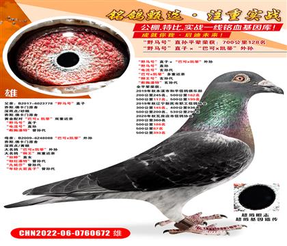 ��Ұ���š�ֱ�ӡ����Ϳ�x���١����� ��Ұ���š�ֱ�� ��������