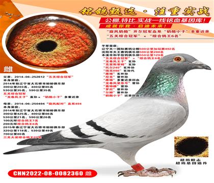 ������ۺϹھ��������ۺϸ���6���� �����������ӡ����� ����