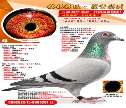 6000��370����47�����ú�š�����������ض���ֱ��Ů