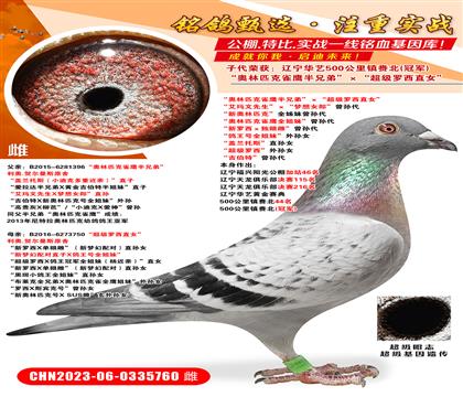 ����������500����ھ�������ƥ��ȸӥ���ֵܡ�������������ֱ