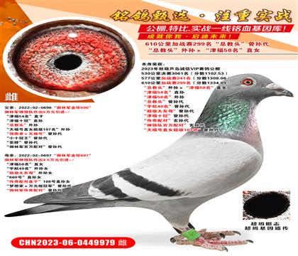 ��«������VIP610�����ս��299�����ܽ�ͷ������� ��