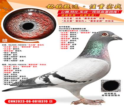 �������ǡ����������ī�ƶ��ɡ�����Ů �������ȡ������ ����