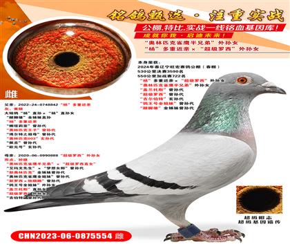 ���꣨�����ս��722��������ؽ��ס�����������������Ů