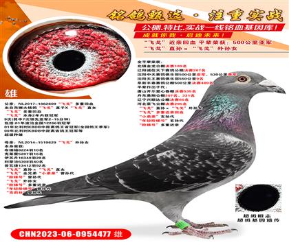 ���ɸꡱֱ������ɸꡱ����Ů ���ɸꡱ���ؽ��׻�Ѫ ��С�ܵ�