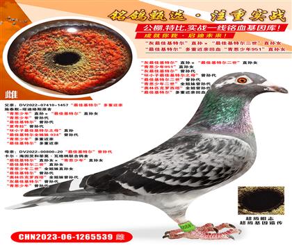 ������ѻ��ض���ֱ�������ѻ��ض�������ֱ��Ů ���������9