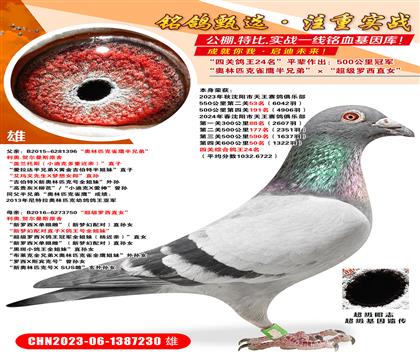 �Ĺظ���24��.550����53����6042�𣩡�����ƥ��ȸӥ