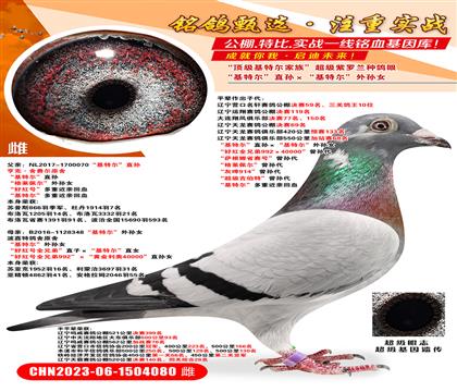 �����ض���ֱ��������ض�������Ů ���ú�ȫ�ֵ�992��400