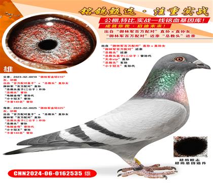 ���ԡ����־�������ԡ�ֱ���ֱ��Ů �����־�������ԡ�����