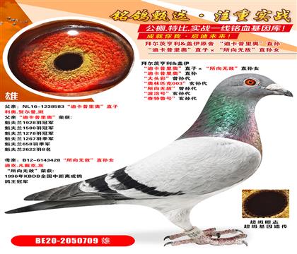 �ݶ��ĺ���.���� ���Ͽ�����¡�ֱ�ӡ��������޵С�ֱ��Ů ��