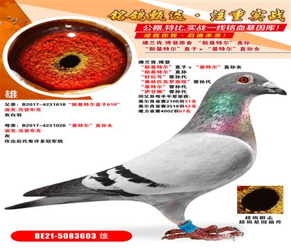 ������.���ǡ��»��ض���ֱ�ӡ������ض���ֱ��Ů ���»��ض���