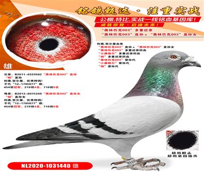 ����ԭ�����ƥ��003�����ؽ��׻�Ѫ ��С�Ƹ�������ؽ���