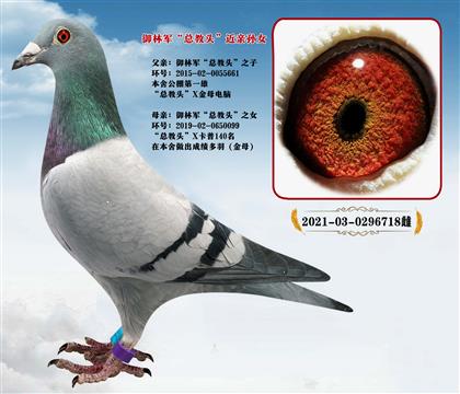 御林軍“總教頭”直子X“總教頭”直女