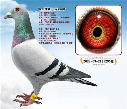 “保時(shí)捷911”直子X“保時(shí)捷911”直女