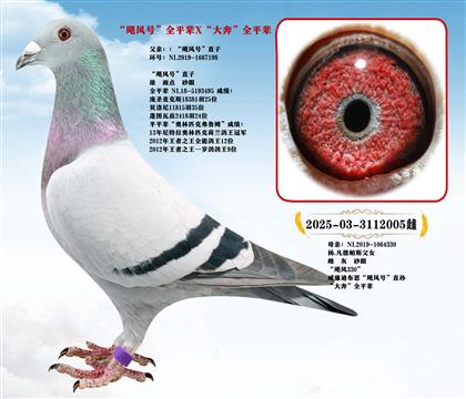 迪克.范登布克”颶風(fēng)號(hào)“全平輩X”“大奔”全平輩