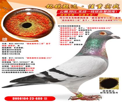 ׿˹ِԭ ѻؠֱӡѻؠȫ